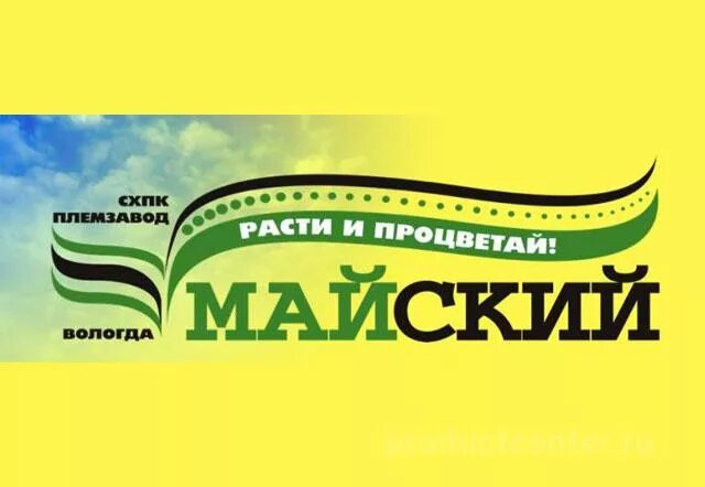 СХПК Вологодский питомник Майский. СХПК Племзавод Майский посёлок Майский. Племзавод Майский Вологда логотип. Вологда СПК Племзавод Майский.