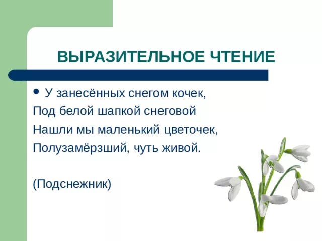 Александрова подснежник стихотворение. Стихотворение Подснежник Александрова. Стих у занесенных снегом кочек под белой. У занесенных снегом кочек под белой шапкой Снеговой.