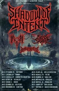 Группа shadow of intent