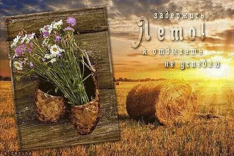 Пожелания с добрым утром уходящего лета