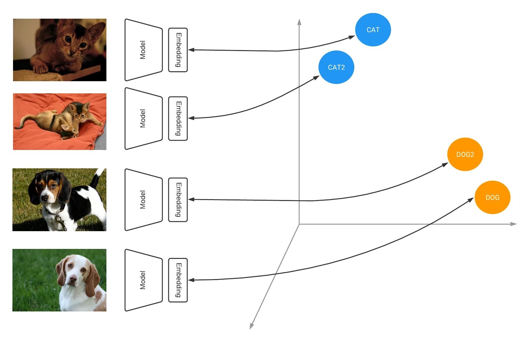 Tensorflow models. Машинное обучение и tensorflow. машинное обучение кошки и собаки. машинное обучение собака кекс. машинное обучение кошки в корзине.