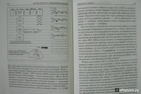 Магия мозга и лабиринты жизни