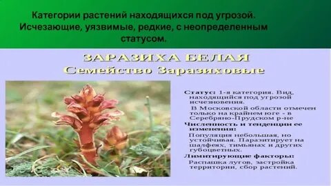 Растения находящиеся под угрозой