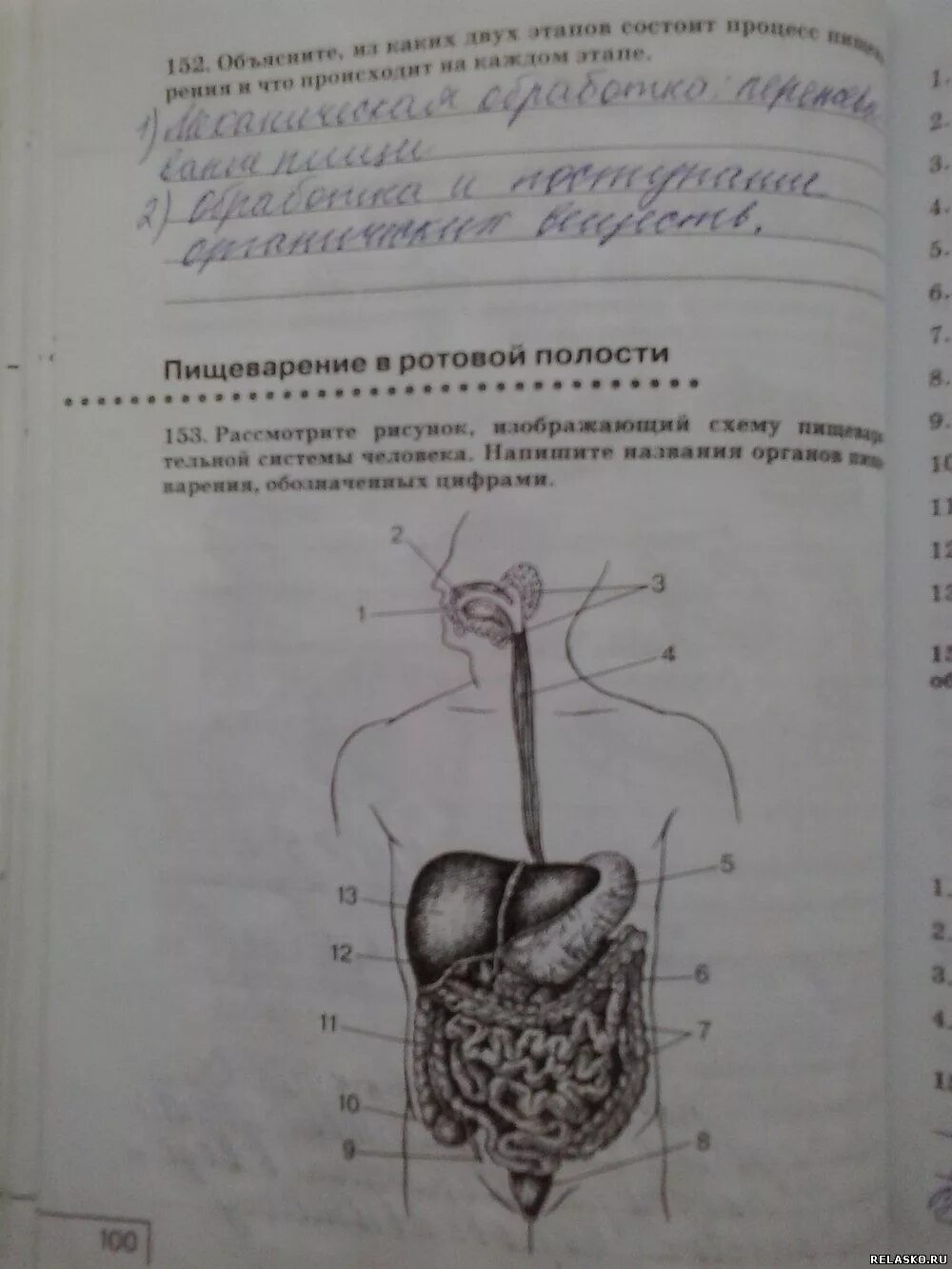 Биология 8 класс рабочая тетрадь агафонова. Биология 8 класс рабочая тетрадь Сонин Сапин стр. Биология 8 класс Сонин страница 100. Биология 8 класс страницы. Биология 8 класс анатомия человека.