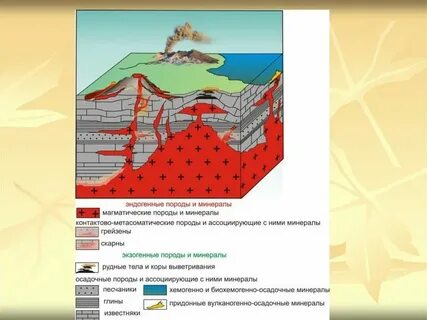 Экзогенные горные породы