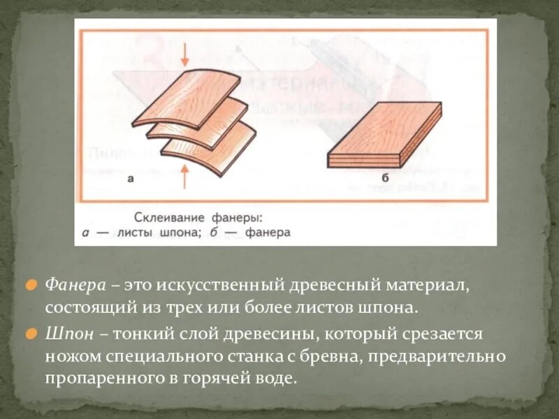 Лист древесины 6 букв. Производство древесных материалов. Тонкие листы древесины 5 класс технология. Древесный лист. Ясень вязолистный.