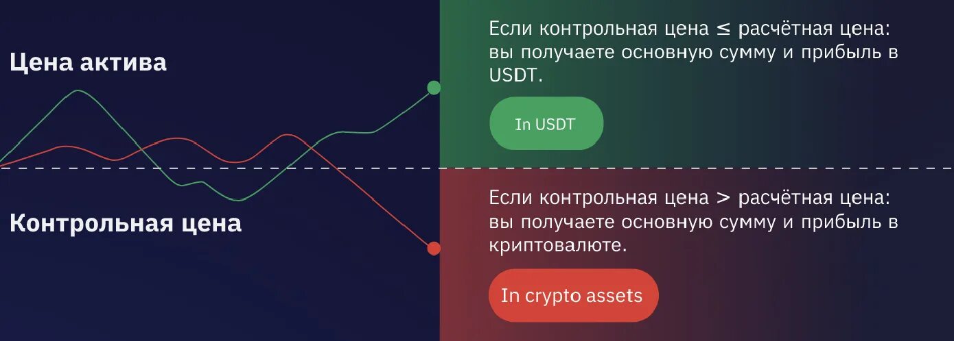 Бивалютные инвестиции BYBIT. Что такое бивалютные инвестиции риски. BYBIT Активы. Где показывается доходность BYBIT. Что такое премаркет торговля на bybit