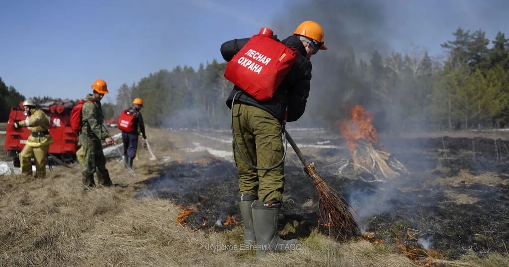 лесной пожар авиалесоохрана. тушение крупных лесных пожаров. красноярская авиалесоохрана. пожарные авиалесоохрана. тушение торфяного пожара в лесу.