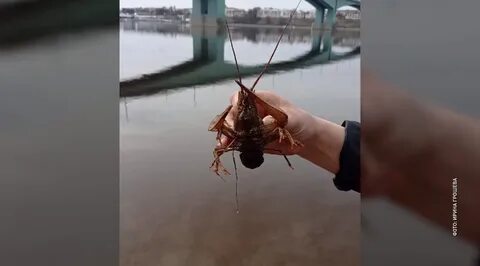 Рак вернулся