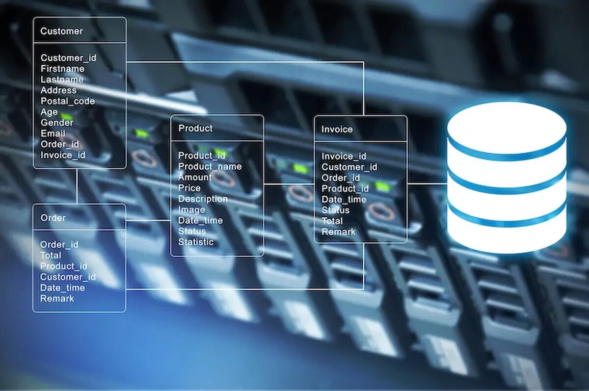 Database systems software