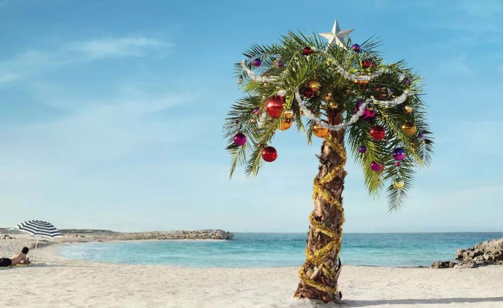 Starfish wearing Santa Claus hat on beach Beach christmas, Christmas photos, Bea
