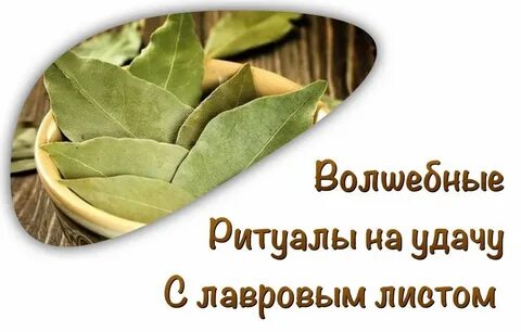 Привлечение удачи лавровый лист
