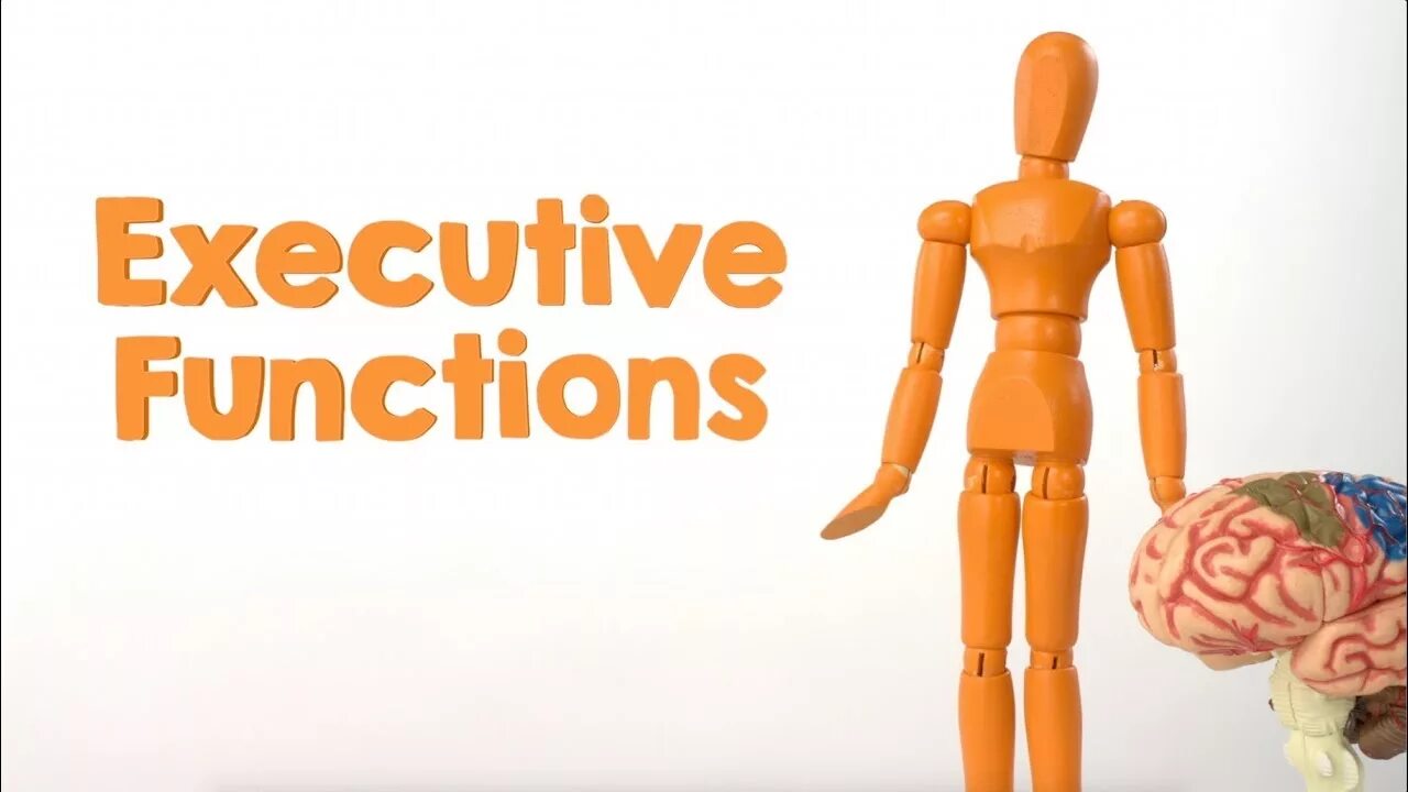 Executive functions. Executive functions