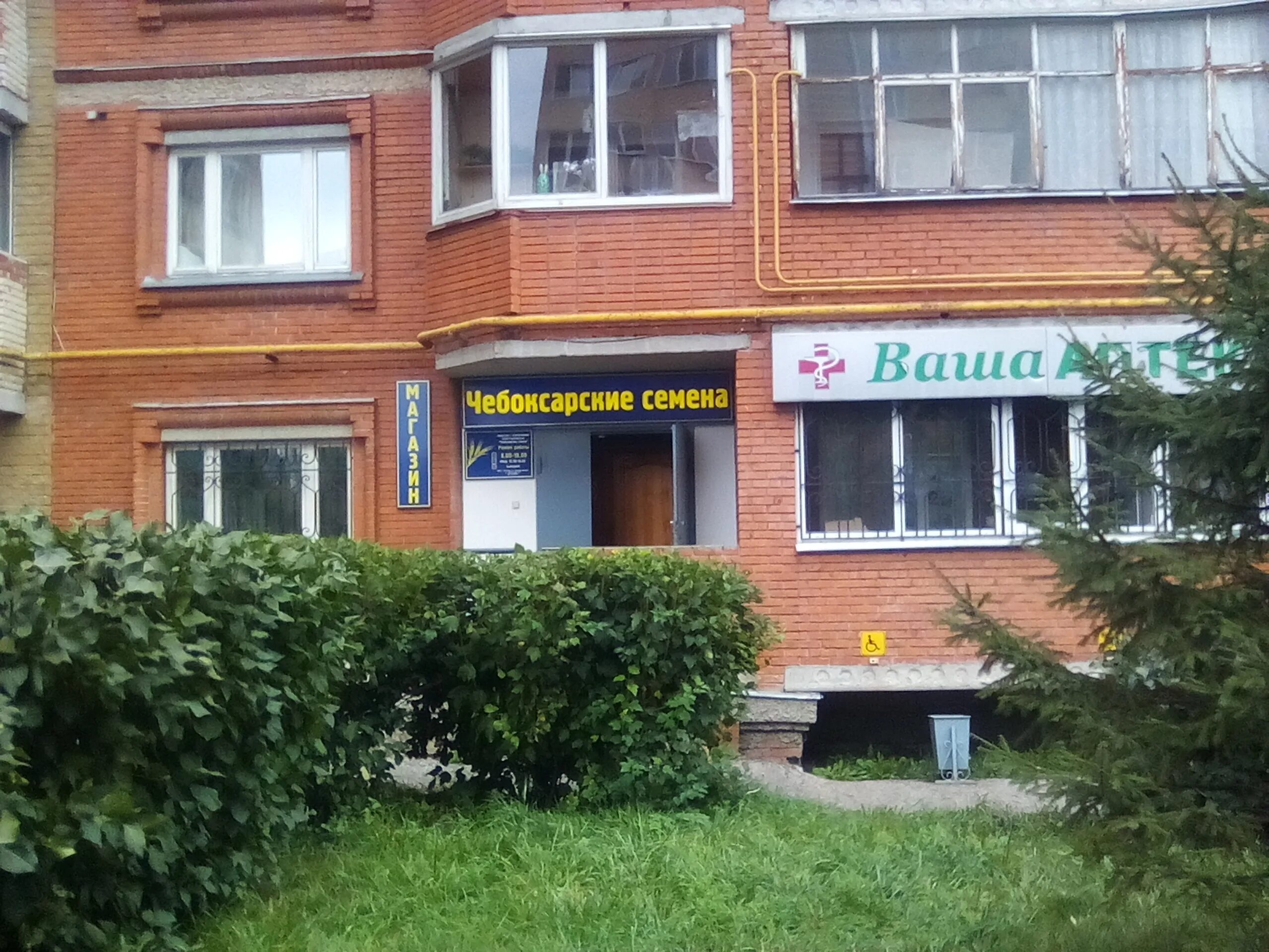 семена мяты и мелиссы. академика крылова д 1 чебоксары. люцерна синяя семена. семена чувашии. госсорткомиссия по чувашской республике.