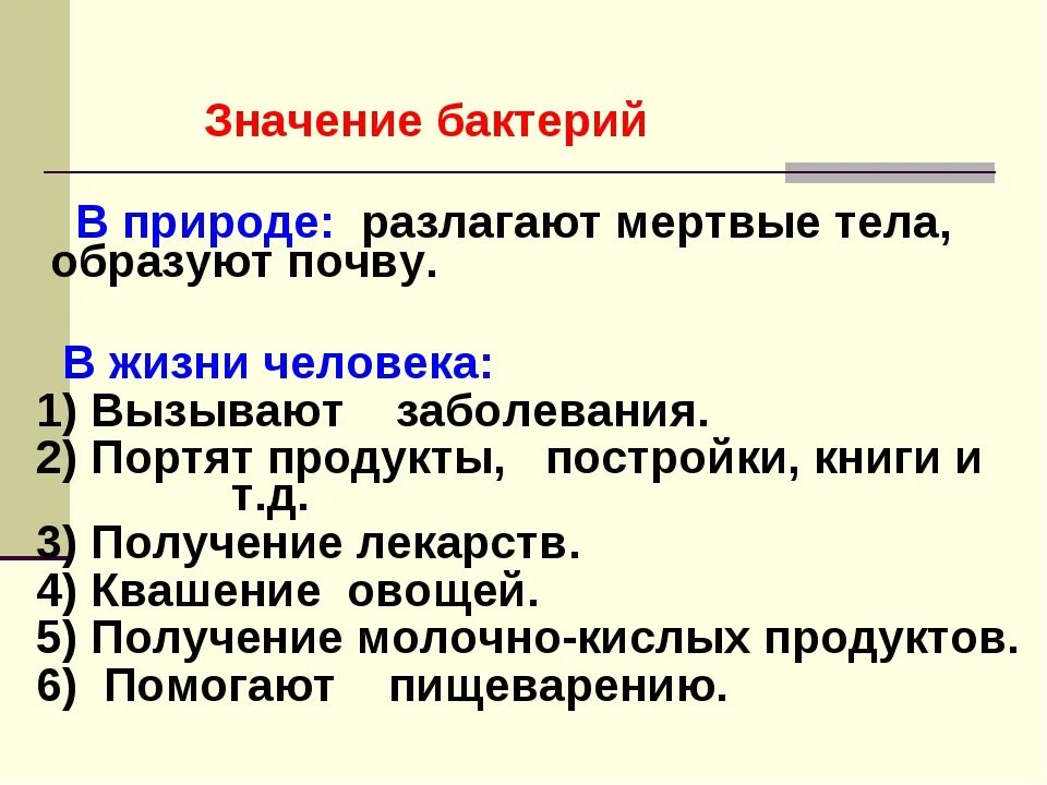 Роль бактерий в природе конспект. Значение бактерий в природе и жизни человека. Значение бактерий в природе и для человека. Значение бактерий в природе и жизни человека кратко. Значение и роль бактерий в природе и жизни человека.