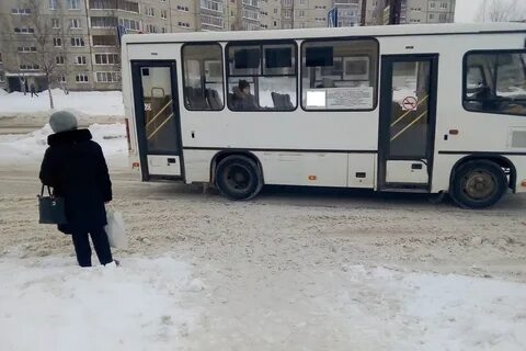 Автобус петрозаводск сегодня