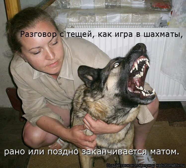 Пьяные разговоры с матом