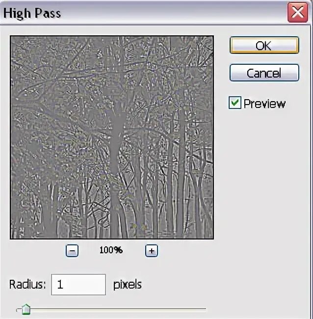 Pass preview. Pass preview