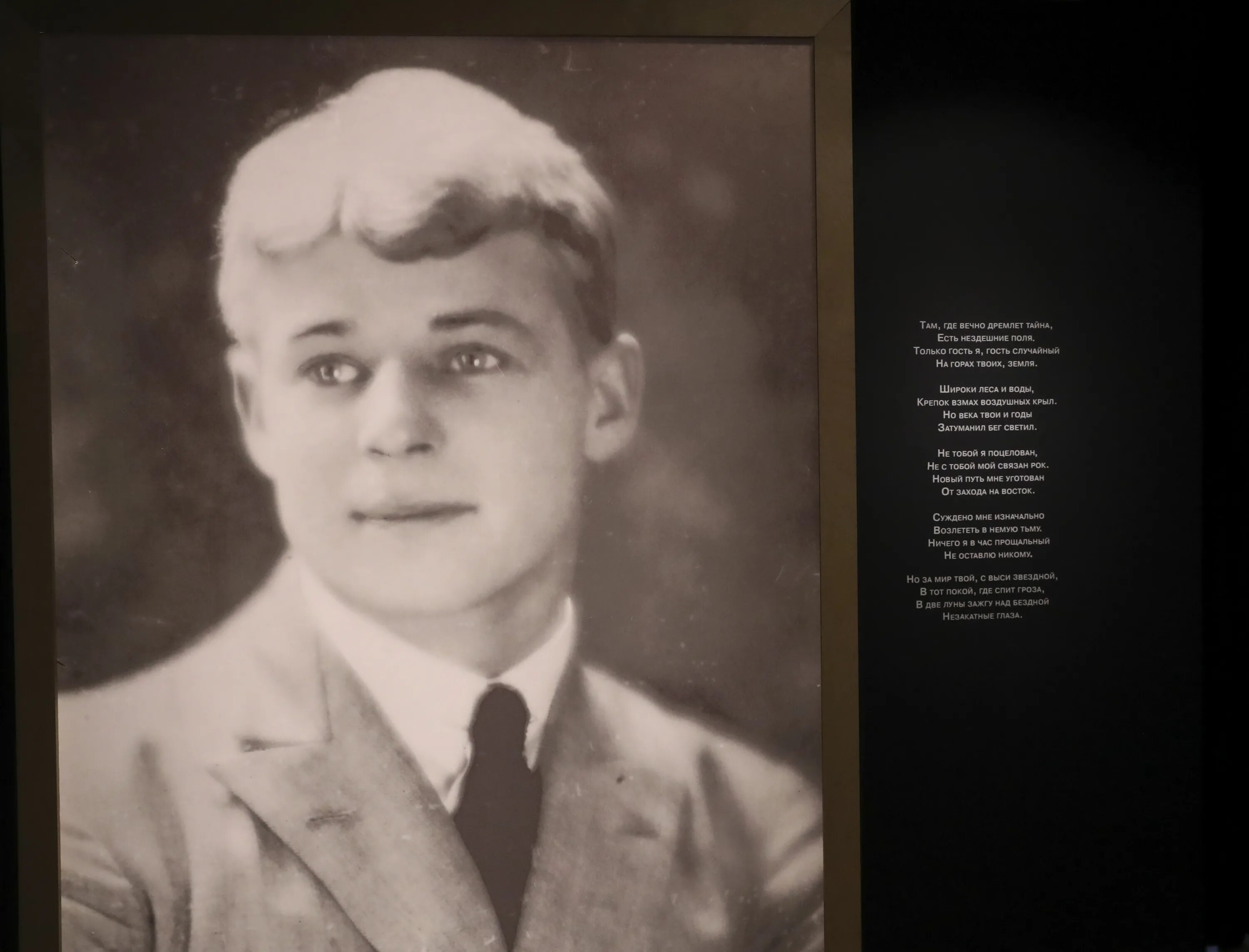 Есенин ты жива еще слушать. Есенин еще жива моя старушка. Выставка по есенину. Есенин ты жива еще слушать. Есенин еще жива моя старушка.