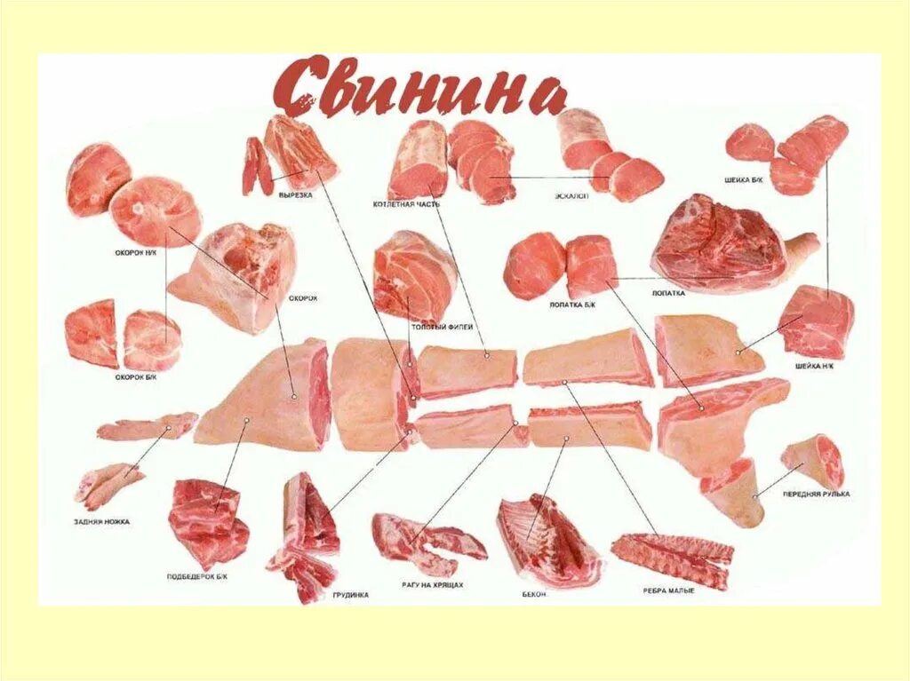 Части свиного мяса. Свинина мясо разделка туши. Части свиной туши. Схема обвалки свиной туши. Части туши свиньи схема.