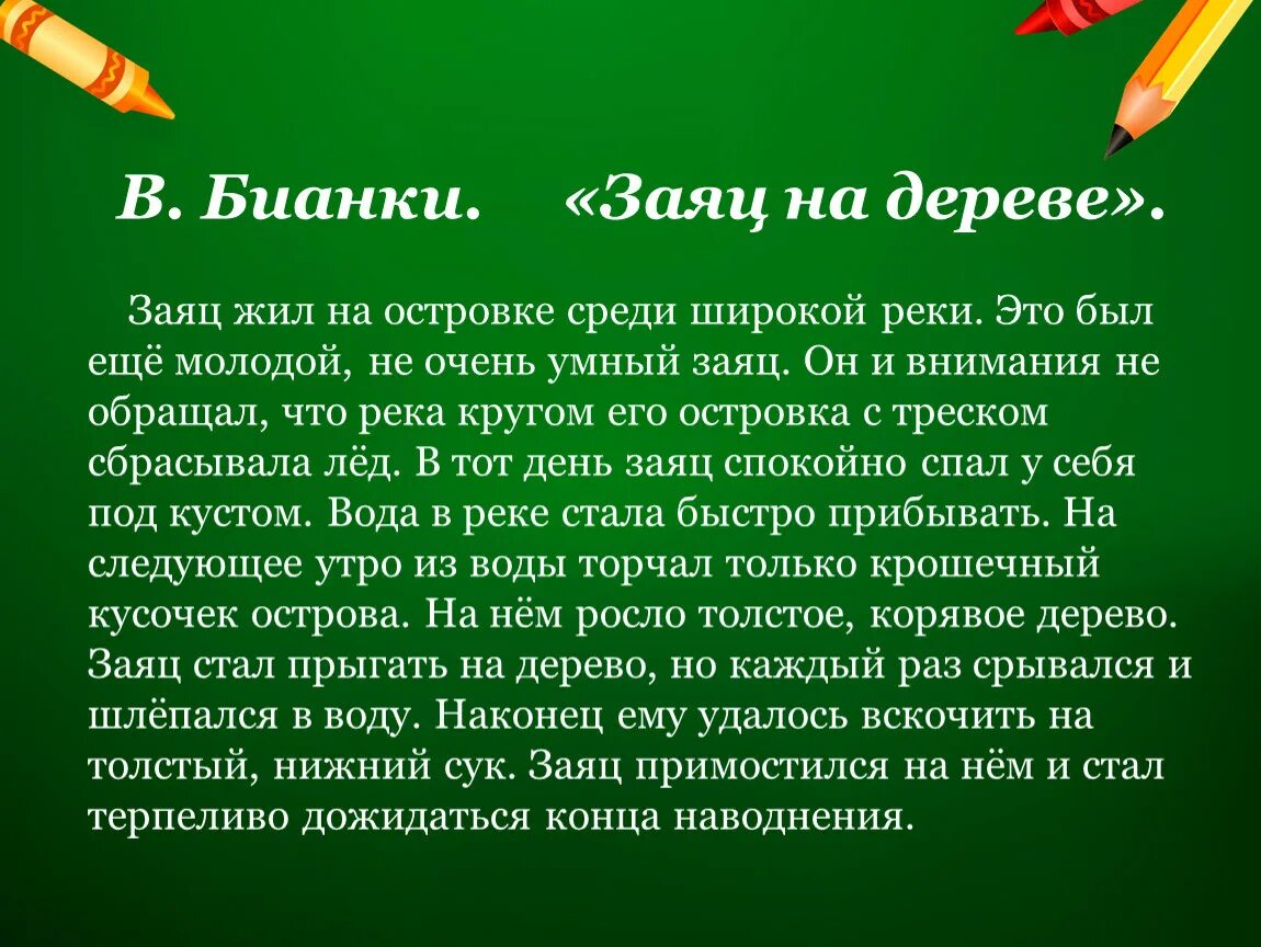 Заяц жил на островке среди широкой. Заяц на дереве заяц жил на островке среди широкой. Бианки заяц жил на островке.