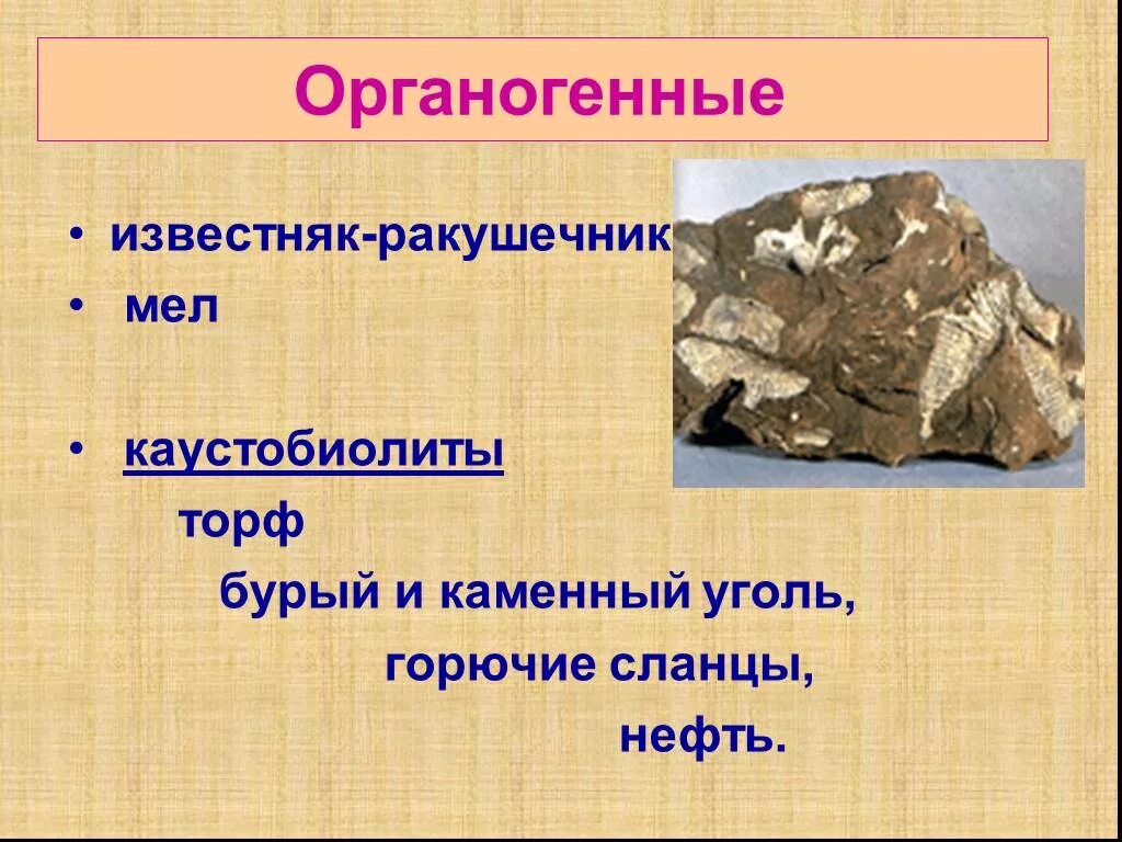 Горючие сланцы торф. Органогенные осадочные породы. Органогенные осадочные горные породы. Известняк ракушечник. Осадочные породы органогенного происхождения.