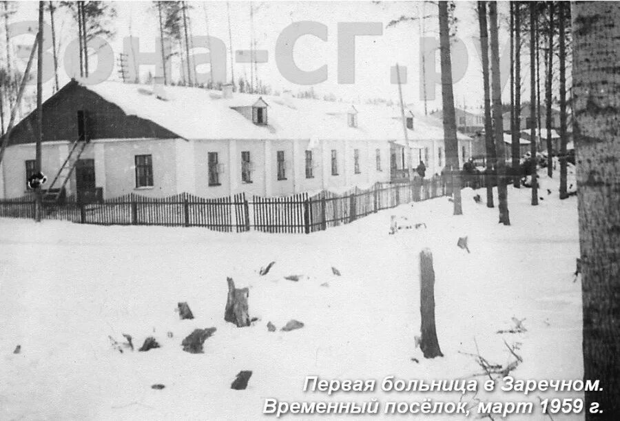 калашниково тверская область прошлое. ленин на субботнике. босоногий гарнизон сталинград. хроники поселка и не только. поселок прогресс первоуральск.