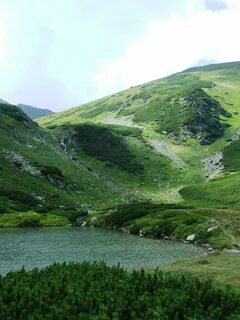 Mount r