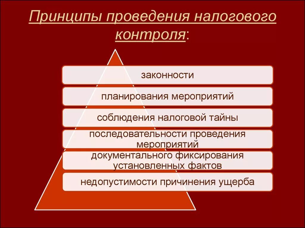 Принципы реализации контроля. Принципы налоговой проверки. Принципы проведения налогового контроля. Принципы организации налогового контроля. Налоговый контроль презентация.