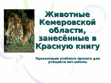 Красная книга кемеровской