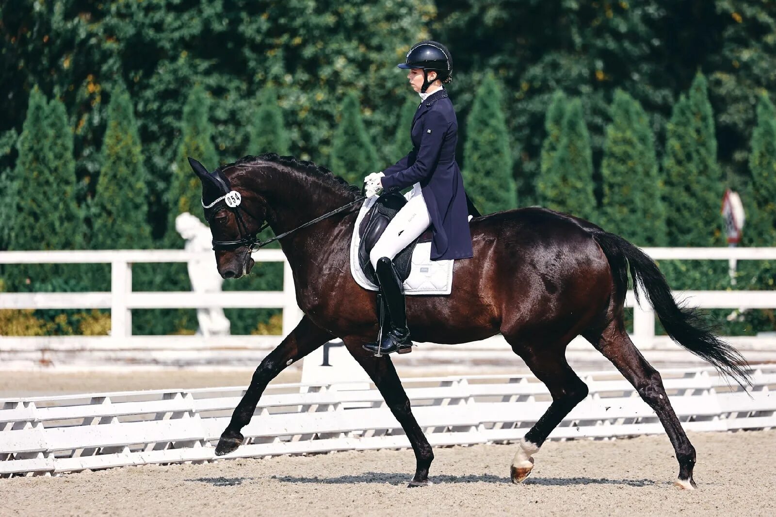 отрада старты. отрада старты. конюшня отрада пятницкое шоссе. анна карасева выездка. конный клуб отрада выпускной бал фото.