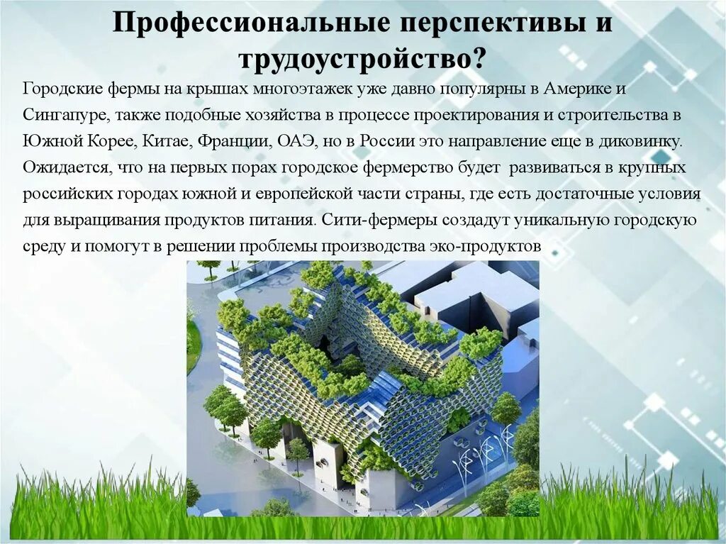 Что должен знать и уметь сити фермер. Сити фермерство презентация. Что должен знать и уметь сити фермер. Сити фермер профессия. Сити фермерство презентация.