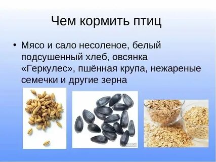 Чем можно дать 16 в