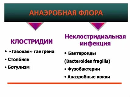 Клостридиальная инфекция