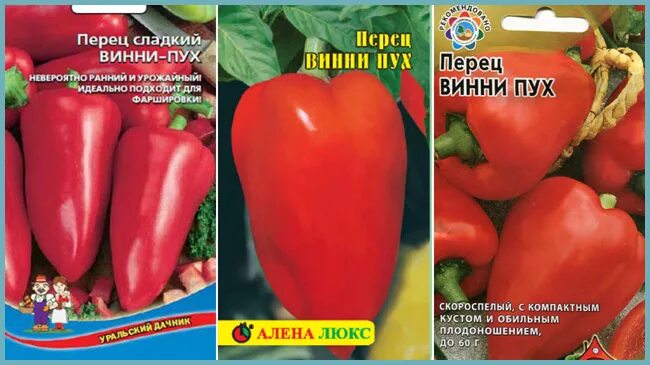 Перец винни пух описание сорта. Сорт перца сладкого винни-пух. сладкий перец сорт винни пух. перец сладкий винни-пух раннеспелый. сорт перца винни пух фото.