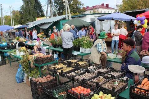 Регистрация канаш