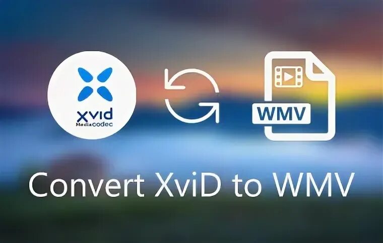Xvidi. Xvidi. Ав софт логотип. Xvidi. Xvidi.