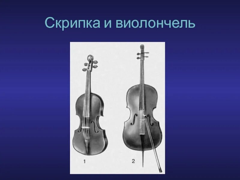 Музыка контрабас и скрипка. Родина скрипки и виолончели 4 класс. Скрипка и виолончель. Струнные инструменты виолончель. Скрипка виолончель контрабас.