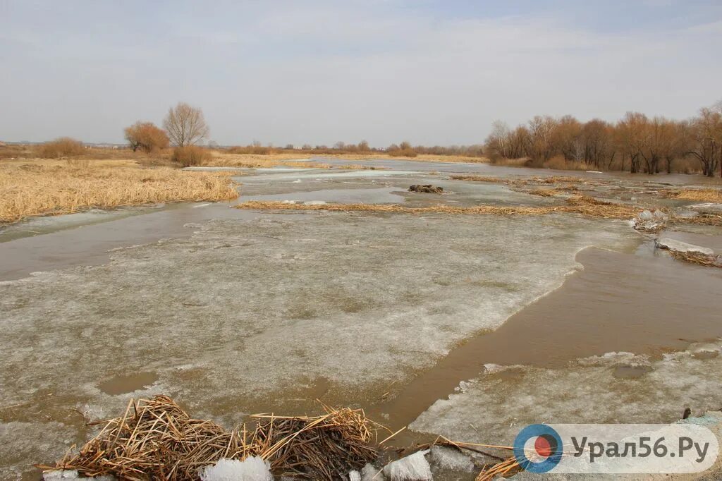 Река орь оренбургская область