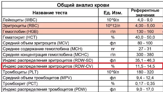 Анализ мснс повышен. Анизоцитоз норма в анализе крови. Анализ крови показатели анизоцитоза. Показатель анизоцитоза эритроцитов норма. Показатель анизоцитоза в общем анализе крови что это такое.