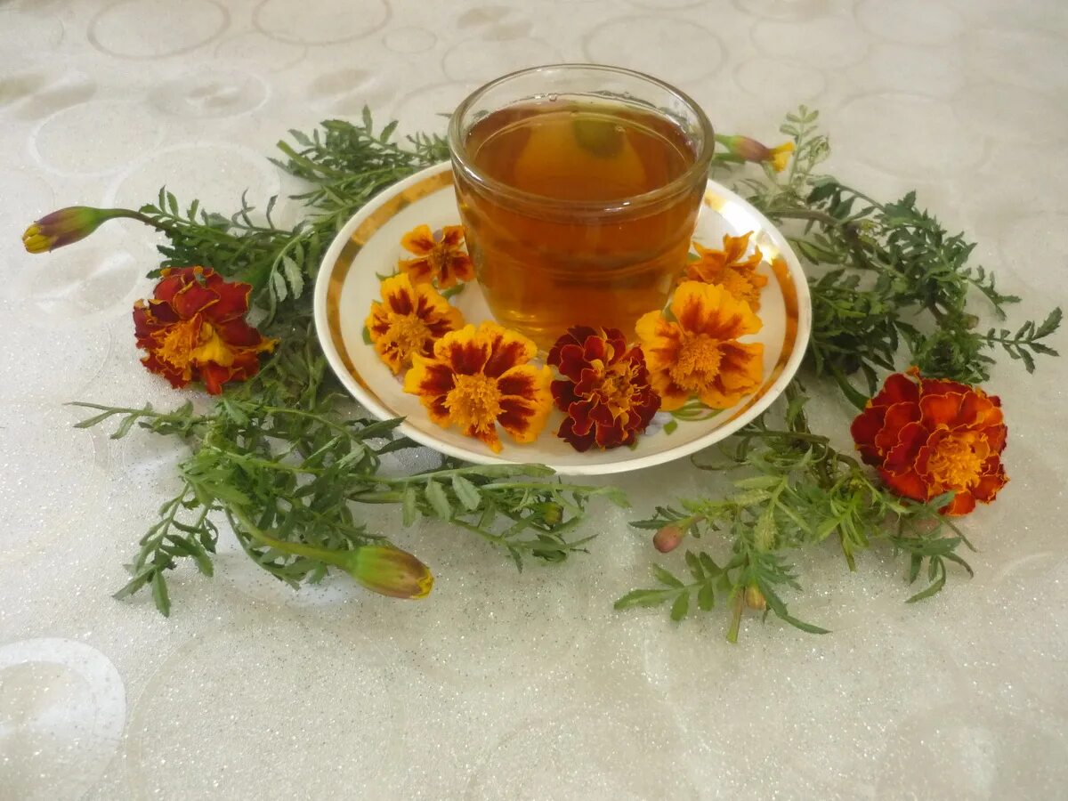 Рецепты чая. Бархатцы пить чай. Варенье из бархатцев. Цветки бархатцы в народной медицине. Цветы бархатцы и чай.