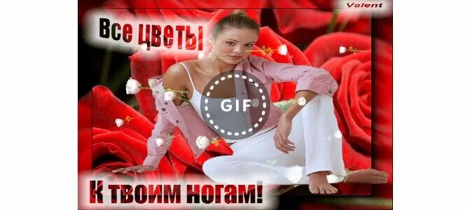 Открытки все цветы к твоим ногам. Кружит невесту на руках. Открытки все цветы к твоим ногам. Мир к твоим ногам годам. Цветы.