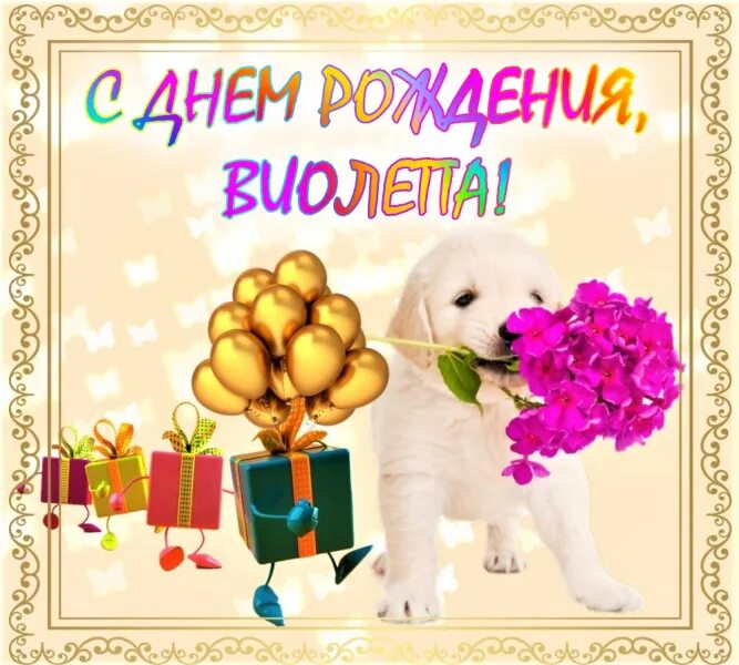 С днем рождения гога. Картинки с днём рождения виолетточка.