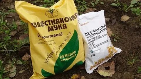 Для картофеля вносят удобрения