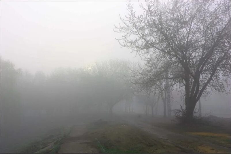 Strong fog