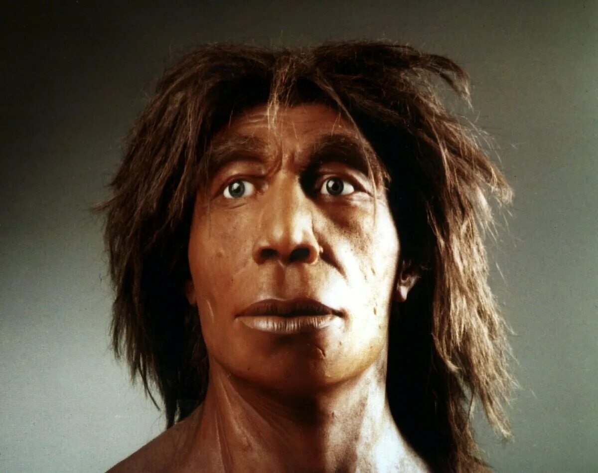 неандерталец и другие