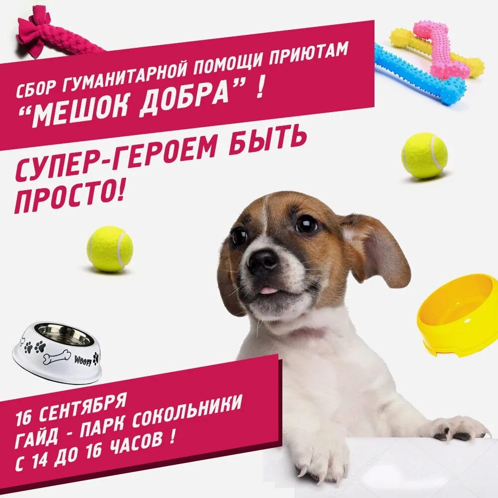 Акция по сбору корма для животных. Мешок добра акция. акция добра корм для животных. акция миска добра.