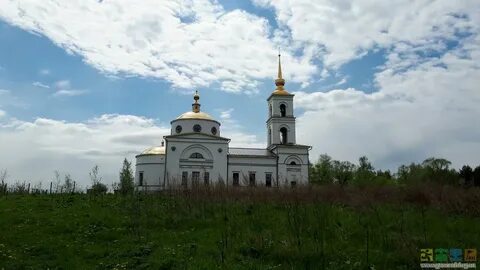 Вологда фетинино автобус