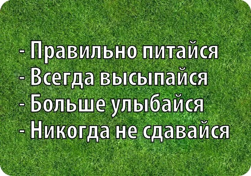 Правильное питание цитаты. Афоризмы про здоровье. цитаты про здоровье. фразы про здоровый образ. цитаты про здоровье со смыслом.
