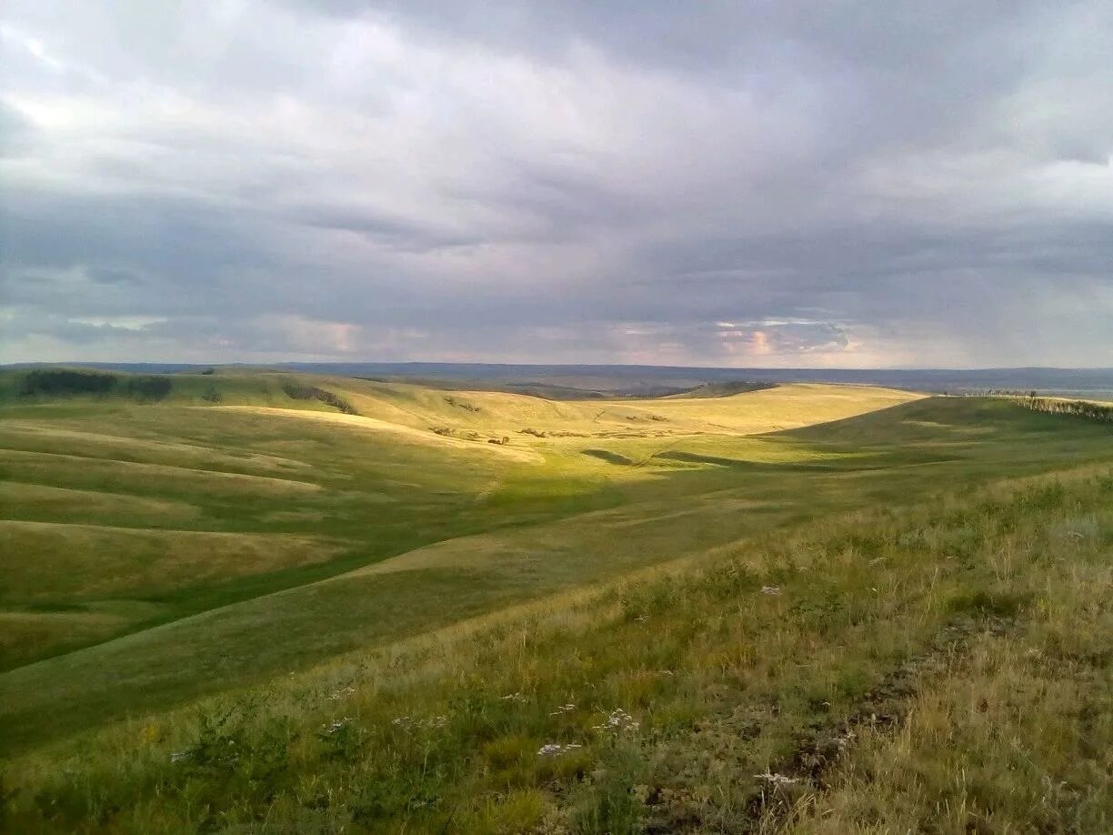 краснокаменск степь. гора оглахты хакасия. степная зона южного урала. зоны степь лесостепь алтайский край. курайская степь горный алтай.